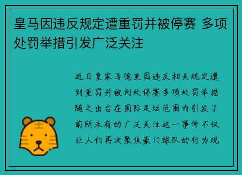 皇马因违反规定遭重罚并被停赛 多项处罚举措引发广泛关注